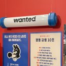 공감직업소개소 이미지