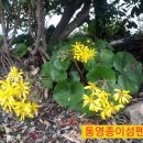 종이섬펜션 이미지
