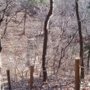 와룡공원길 이미지