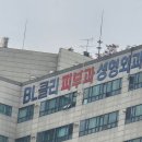 BL클리 이미지