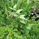 나무와창 이미지