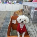 주인 이미지