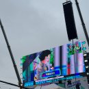 25년 4월 월말회고, 마침내,탄핵!