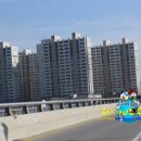 선산대로-23 이미지