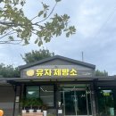 고흥 온 김에 유자빵 한가득 사가오 ㅋㅋ 이미지