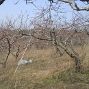 자인보건지소 이미지