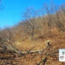 칠갑산슈퍼 이미지