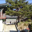 동림사 이미지