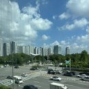 세븐일레븐올림픽점 | 여름쿨톤 염색 파크포레온미용실 차홍룸 올림픽공원점 주차 김보람디자이너
