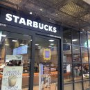 프렌즈 케이크(FRIENDS CAKE) | 수원역 스타벅스 신메뉴 추천! 프렌즈 엎어진 치즈케이크 내돈내산 솔직 후기 (가격, 칼로리, 맛 분석)