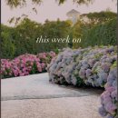 6.4.wed.해.삼국지 74 ＜차라투스트라＞보수 패배-위왕 조비 이미지