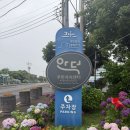 안덕면 상창리사무소 입구 | 제주 서귀포 숨겨진 무료 수국 맛집, 안덕면사무소