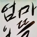다육뜰 이미지