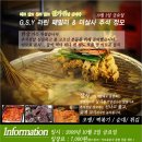 추석맞이 G.S.Y라틴패밀리 & 더살사 10월2일 정모[푸짐한 인심을 드립니다. 이모표 분식종합선물세트] 이미지