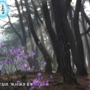 동영목장 이미지