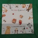 강서김치과의원 | 매복사랑니 당일 발치 후기 😬🦷[대전 연세굿바이사랑니치과의원]