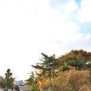 반쟁이공원 이미지