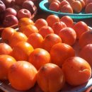 죽방클럽 이미지