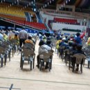 오늘도 아름답개 이미지