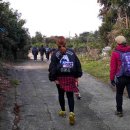 제주 올레길 3코스 A 이미지