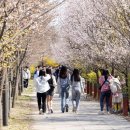 여의서로 이미지