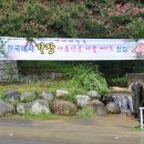 남사-1 이미지