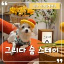 해경스테이 A,B동 | 태안 안면도 애견독채펜션 &lt;그리다숨 스테이&gt;- A동과 B동 비교 내돈내산 후기