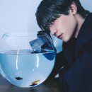 민호네 이미지
