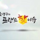포레스트빌리지 이미지
