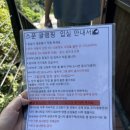 스푼글램핑 | 서울 근교 경기 수영장 있는 캠핑장 포천 스푼 글램핑 카라반 C4 후기