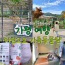후안1리 성인문해 | 경기도 아이들과 가볼만한곳 가평 아침고요동물원 동물체험여행