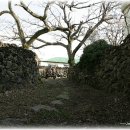 바로올레 이미지