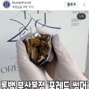 포레드썸머 이미지