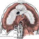 11215-자양1-162 | [자양동필라테스]임신 중 소화안되고 숨쉬기 힘들 때 이렇게 해보세요:)