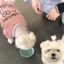 카페 꼬미꼬미 이미지