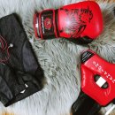 범진권투 이미지