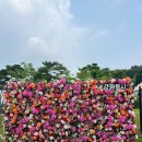 주머니 쏘옥 아시아 | 강화루지 강화도여행 필수코스 액티비티체험 추천(+루지후기 및 주차정보)