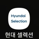 답답한 요즘, 벨로스터N 빌려볼까? 벨N 대여 방법