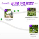 태백 관광지 투어 이미지