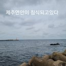 침식 이미지