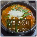 [경상북도 안동시] &#34;동굴매운탕&#34; 솔직 리뷰 : 주차, 분위기, 메기매운탕 후기까지!