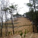 홀산농장 Daum카페
