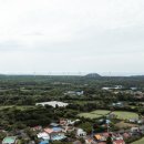 소요소림 이미지