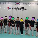 하임태권도장 네이버블로그