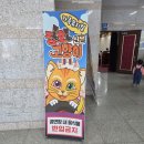 부산광역시 기장군청 차성아트홀 이미지