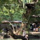 상아프라자 | 요즘 위험한 라오스 패키지여행 후기 🇱🇦 | 방비엥 여행 꿀팁 후기