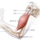 이지짐(EZ GYM) 이미지