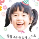 디자인키위