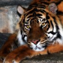 옛날옛적에 이미지