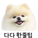 별방진 | 제주 별방진 후기 | 유채꽃 80% 이상, 돌담길 감성까지 좋았던 제주 동쪽 스팟